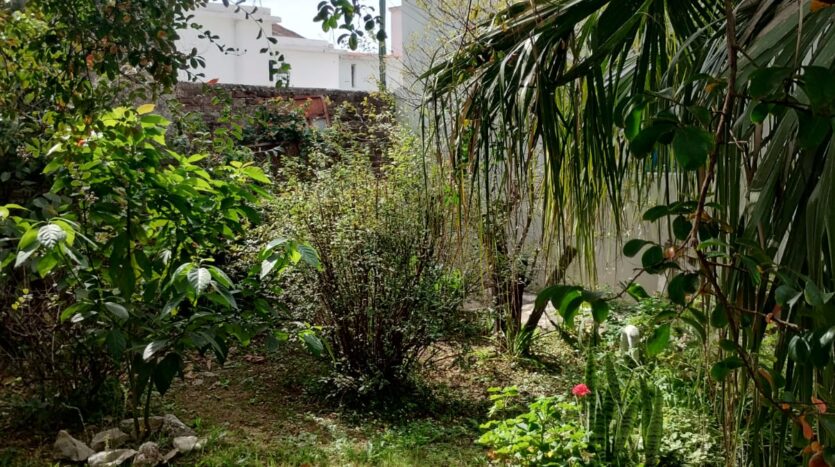 ALQUILER,ALQUILA,CASA,ALTA,GRACIA,BARRIO,NORTE,CERCA,CENTRO