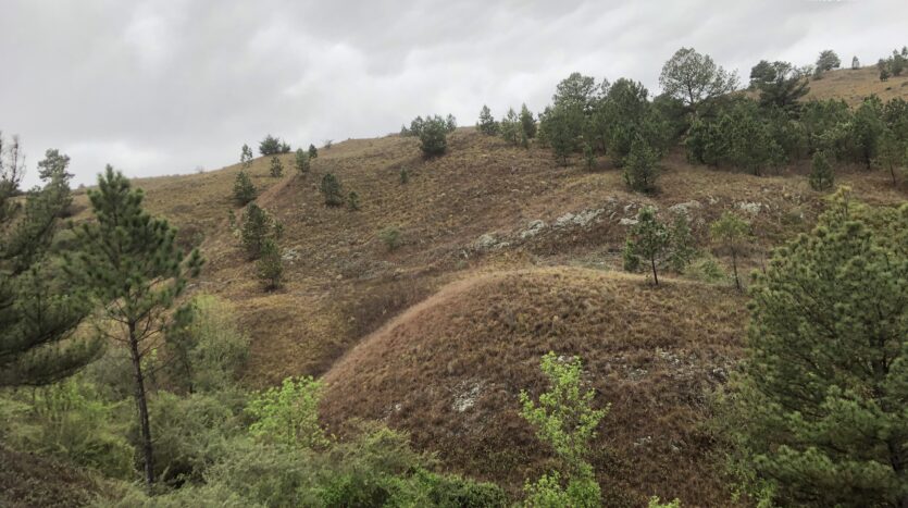 venta,vende,vendo,Campo,Rio,El,Durazno,arroyo,Yacanto,de,Calamuchita,Cordoba,sierras,escritura,lotes,parcelas,1.5,has,hectareas